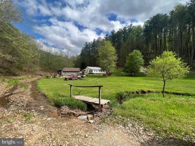 40 Arch Walnut Rd., Duck, WV 25063 - MLS#: WVBX2000008