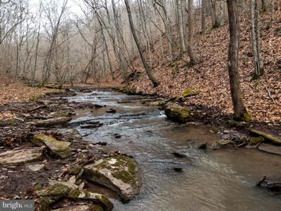 Tbd Kitchen Creek Road, Alderson, WV 24910 - MLS#: WVGB2000128