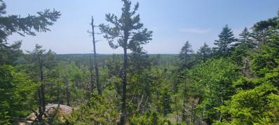 Lot 84 Duck Cove Road Road, Roque Bluffs, ME 04654 - #: 1567316