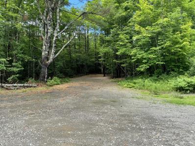 Lot 7-20.2 Village Road Road, Stetson, ME 04488 - MLS#: 1595271