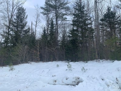 Lot 7 Hickory Drive, Woodstock, ME 04219 - #: 1480405