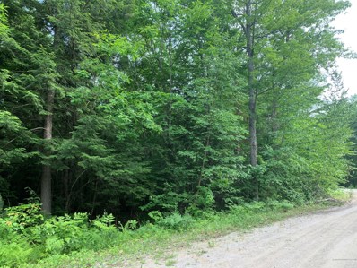 Lot 9 Hickory Drive, Woodstock, ME 04219 - #: 1496998
