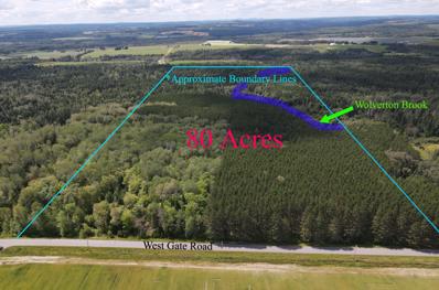 Lot 55, 56 W Gate Road, Connor Twp, ME 04736 - #: 1568874