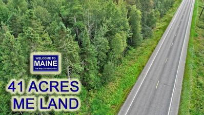 Lot 16F Rt 163 Presque Isle Road Road, Ashland, ME 04732 - #: 1601472