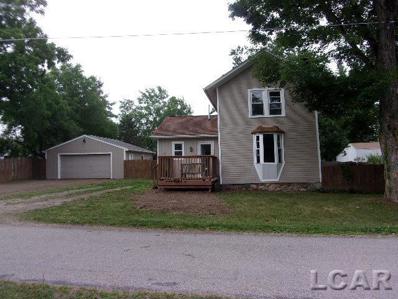 17023 Mill, Hudson, MI 49247 - #: 50114129