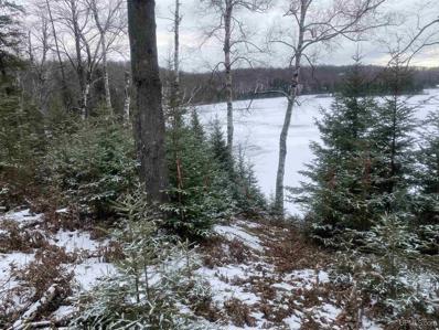 TBD Pomeroy Lake, Marenisco, MI 49947 - MLS#: 50130474