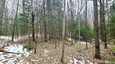 25 Acres County Hwy T, Summit Lake-WI, WI 54485 - #: 50138017
