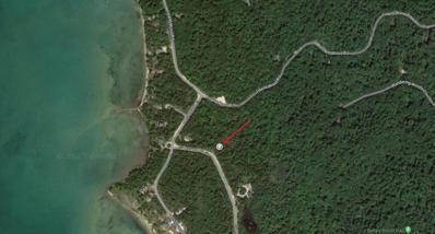 Gull Island Road, St James, MI 49782 - #: 65023013848