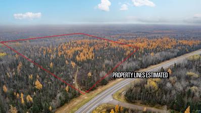 TBD Hwy 16, Bassett, MN 55602 - MLS#: 6111547