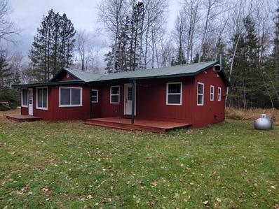 124 County Road 5, Effie, MN 56639 - #: 6300394