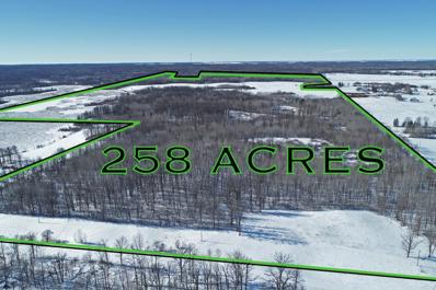 3123 200th Street, Clover Twp, MN 56651 - #: 6328232