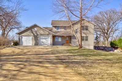 52196 173rd Street, Garden City, MN 56034 - #: 6341709