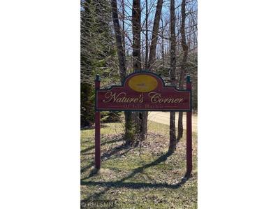 1194 Natures Trail, Federal Dam, MN 56641 - #: 6350065