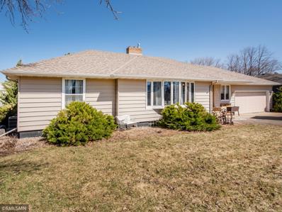 841 Park Avenue, Hamburg, MN 55339 - #: 6355424