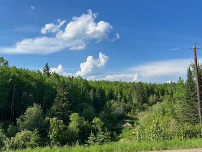 Td Willow River Rd, Greaney, MN 55771 - #: 6380529