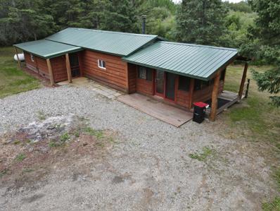 45 County Road 5, Effie, MN 56639 - #: 6393416