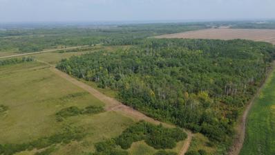 Xxx 410th St Ne, Middle River, MN 56737 - MLS#: 6424527