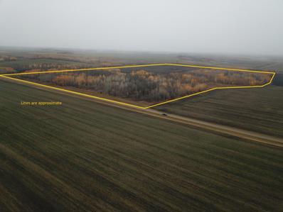 Tbd 330th Avenue Ne, Highlanding Twp, MN 56725 - MLS#: 6453006