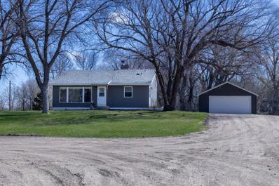 295 Highway 29 NE, Benson, MN 56215 - #: 6491186