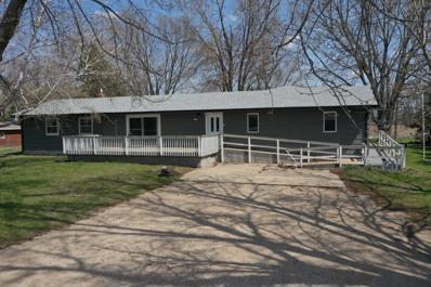 287 Highway 29 NE, Benson, MN 56215 - #: 6529756