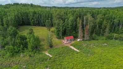 41251 Turtle Lake Road, Bigfork, MN 56628 - MLS#: 6575360