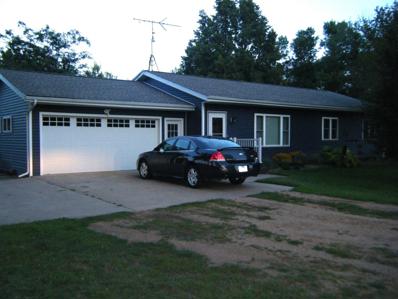 982 S Tyler Street, Hope Twp, MN 56178 - #: 6592004