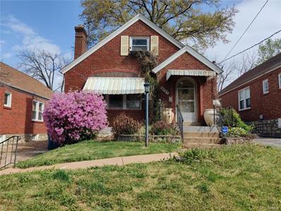 8967 Forest Avenue, St Louis, MO 63114 - #: 24002068