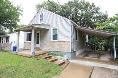 48 Young Drive, St Louis, MO 63135 - #: 24019644
