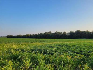 0 Hwy Dd (17+\/- Ac) Tract B, Bellflower, MO 63333 - MLS#: 24048859