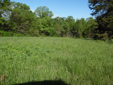 State Highway W Lot #2, Cassville, MO 65625 - #: 60190088