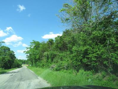 Old Hwy 5, Mansfield, MO 65704 - #: 60242900