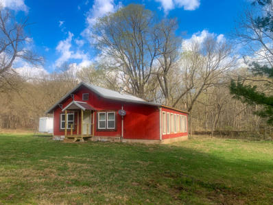 1135 County Road 920, Thornfield, MO 65762 - #: 60263338