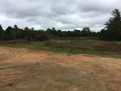 Highway 80 Highway, Forest, MS 39074 - #: 4031995