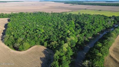 County Road 523, Schlater, MS 38952 - MLS#: 4074760