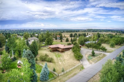 311 Donegal Drive, Bozeman, MT 59715 - MLS#: 395447