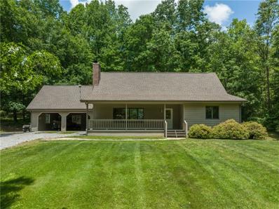 1651 Solomon Jones Road, Cedar Mountain, NC 28718 - MLS#: 4009067