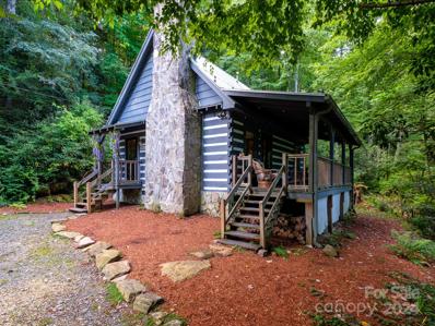 11462 Greenville Highway, Cedar Mountain, NC 28718 - MLS#: 4171903