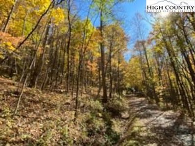 4 Lots Old Chestnut Mountain Road Road, Newland, NC 28657 - #: 234260