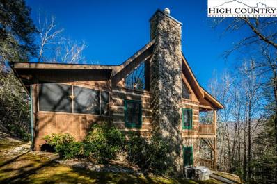 259 Millers Mountain Trail, Banner Elk, NC 28604 - #: 241691