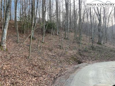 3 Lots Woodland Hills Drive, Elk Park, NC 28622 - #: 247255