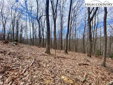 TBD Old chestnut Mountain Road, Newland, NC 28657 - #: 247387