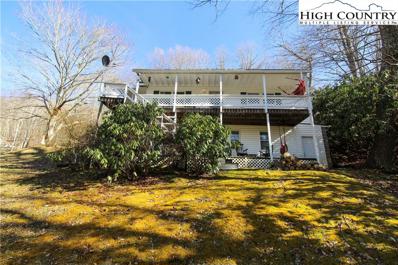400 Old Chestnut Mountain Road, Newland, NC 28657 - #: 248373