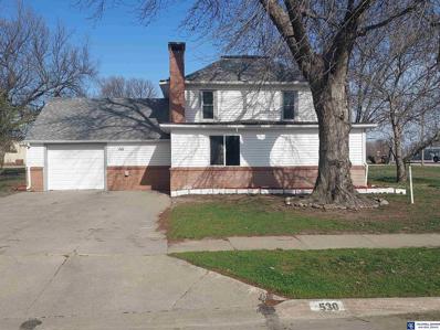 530 Stockton Street, Bradshaw, NE 68319 - #: 22409130