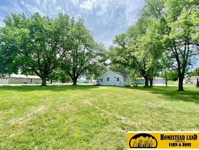 221 Kelley Street, Diller, NE 68342 - #: 22414288