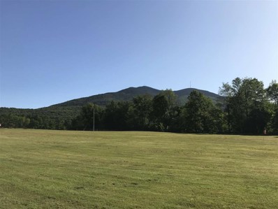 Lot 2 Henry Gould Road, Weathersfield, VT 05030 - #: 4772623