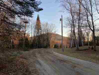 0 Washburn Road, Burke, VT 05832 - MLS#: 5022375