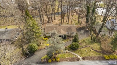 6 Ford Lane, Roseland, NJ 07068 - #: 24003715