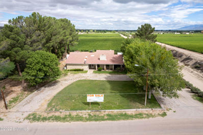 82 Hassville Road, Anthony, NM 88021 - #: 2202645