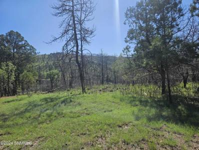 Tbd Homestead Heights Block 5 Drive Unit 5a, Ruidoso, NM 88345 - #: 2402468