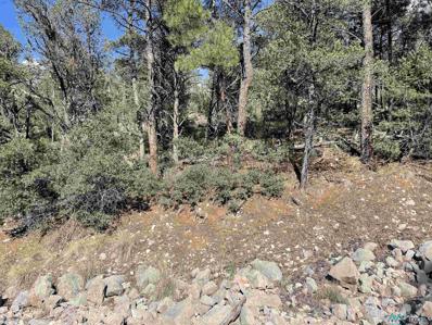 244 Shallow Creek Drive, Timberon, NM 88350 - #: 20212030